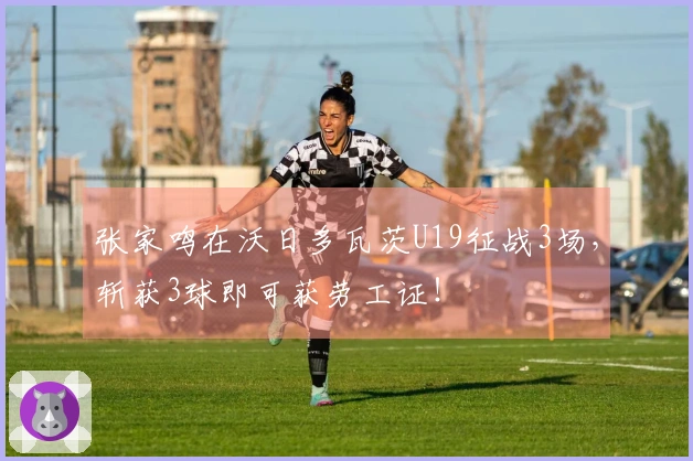 张家鸣在沃日多瓦茨U19征战3场，斩获3球即可获劳工证！